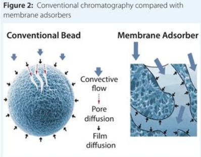 yl23455永利(集团)股份有限公司官网