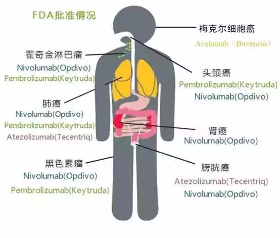 yl23455永利(集团)股份有限公司官网