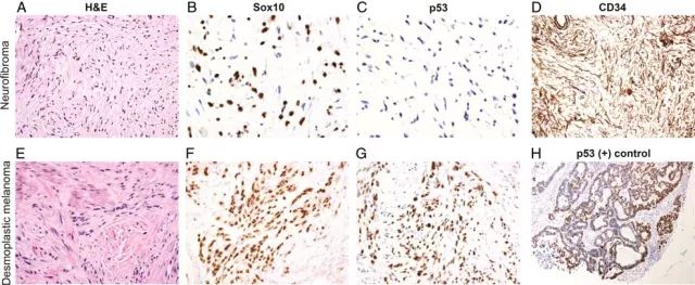 yl23455永利(集团)股份有限公司官网