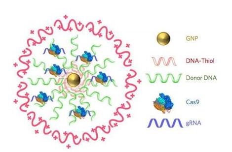 yl23455永利(集团)股份有限公司官网