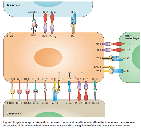 yl23455永利(集团)股份有限公司官网