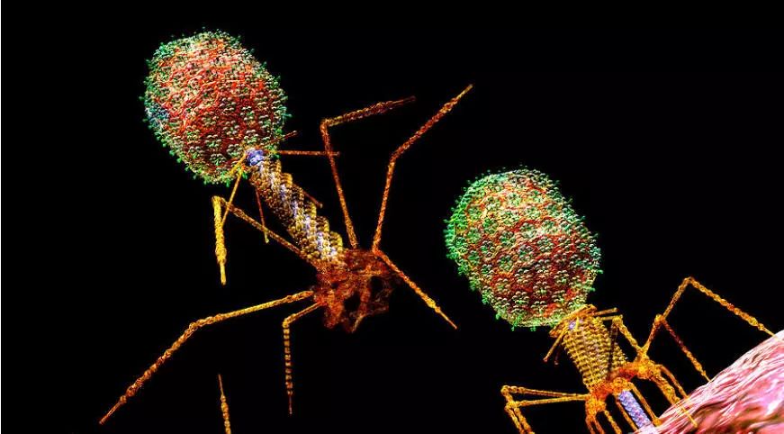 yl23455永利(集团)股份有限公司官网