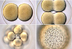 yl23455永利(集团)股份有限公司官网