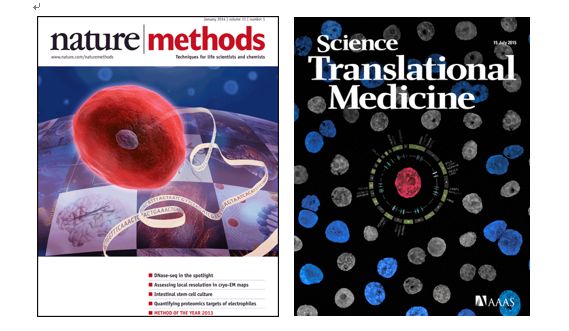 yl23455永利(集团)股份有限公司官网