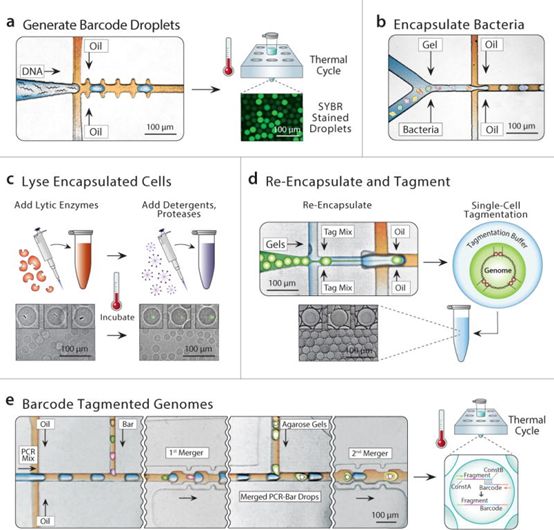 yl23455永利(集团)股份有限公司官网