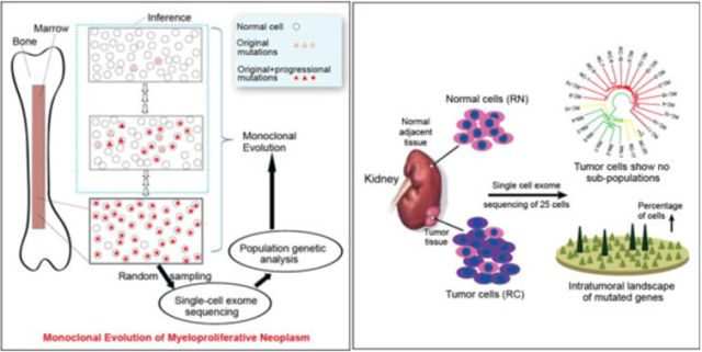 yl23455永利(集团)股份有限公司官网