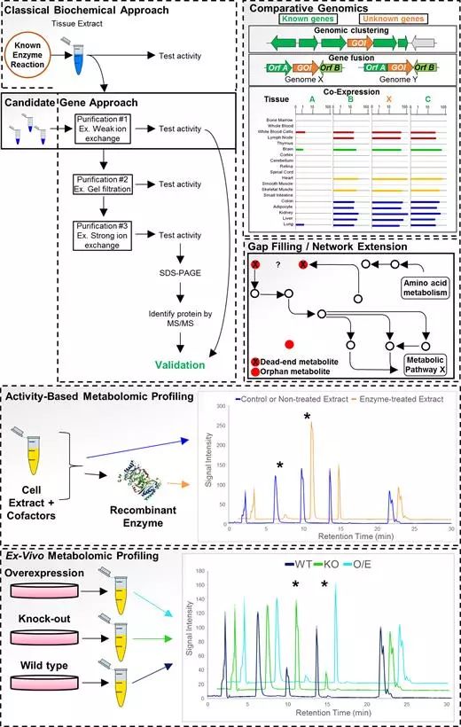 yl23455永利(集团)股份有限公司官网