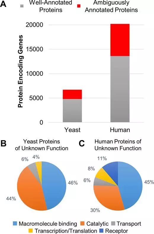 yl23455永利(集团)股份有限公司官网