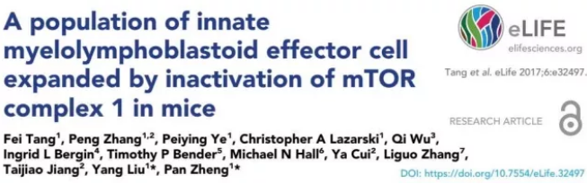 yl23455永利(集团)股份有限公司官网