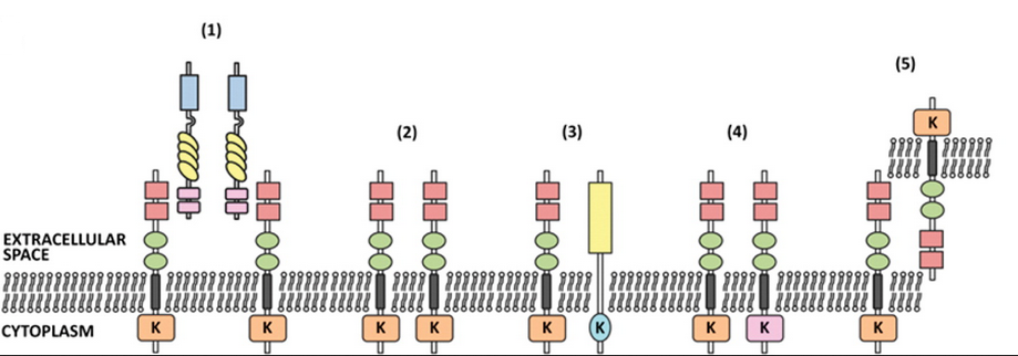 yl23455永利(集团)股份有限公司官网