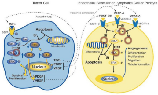yl23455永利(集团)股份有限公司官网
