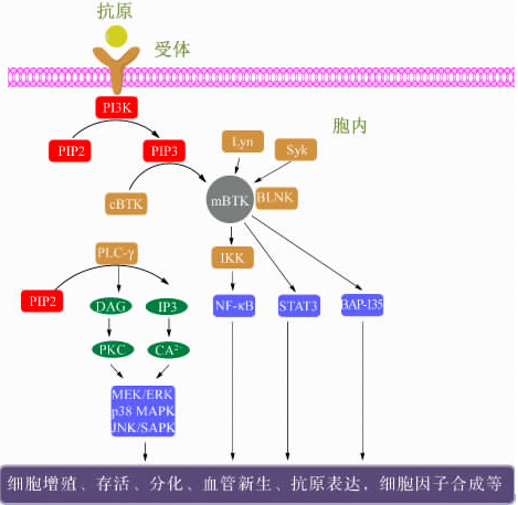 yl23455永利(集团)股份有限公司官网