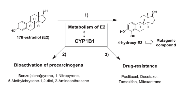 yl23455永利(集团)股份有限公司官网