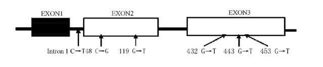 yl23455永利(集团)股份有限公司官网