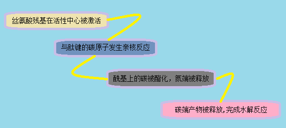 yl23455永利(集团)股份有限公司官网