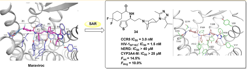 yl23455永利(集团)股份有限公司官网