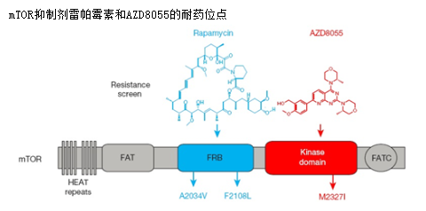 yl23455永利(集团)股份有限公司官网