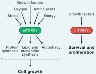 yl23455永利(集团)股份有限公司官网