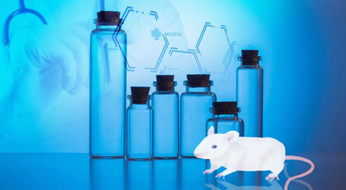 yl23455永利-您理想的DMPK研究同伴