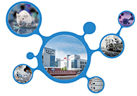 科创板首家CRO企业yl23455永利获准注册