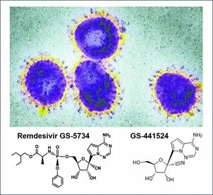 基于细胞因子风暴和免疫炎症反应综合征，，，，许多免疫相关靶点也可以列为冠状病毒的靶点。。。。