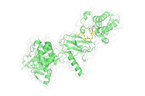 PROTAC手艺，，，，，，马兴泉
