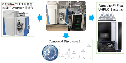 yl23455永利UHPLC-UV-QE HF-X系统