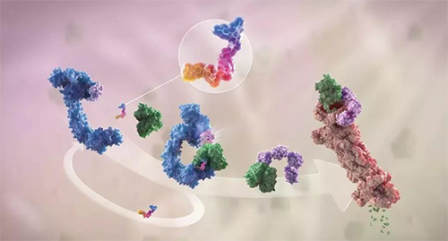 LYTAC出生，，，与PROTAC并肩作战针对不可成药的靶点