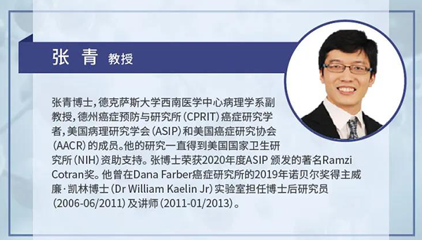 直播预告|诺奖实验室讲师张青教授做客yl23455永利云课堂，，，，展现乳腺癌和肾癌治疗新靶点