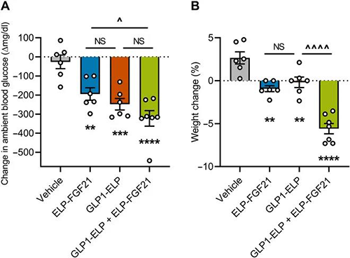 GLP-1和FGF21配合治疗增强了单药治疗的血糖降低和体重增添抑制作用 yl23455永利