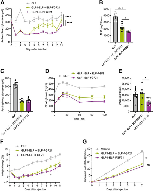 GLP1-ELP-FGF21双激动剂形式在治疗上优于GLP-1 / FGF21单激动剂混淆物 yl23455永利
