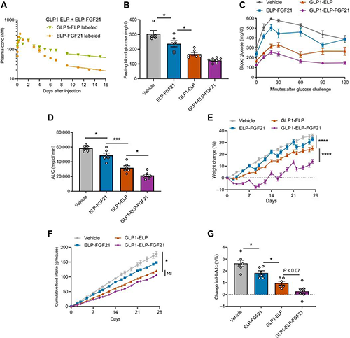 GLP1-ELP-FGF21双激动剂融合卵白对血糖和体重具有有用且一连的作用 yl23455永利