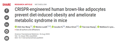 Science|聚焦CRISPR：刷新脂肪细胞，，，，，，“躺瘦”可能要成真了？？？