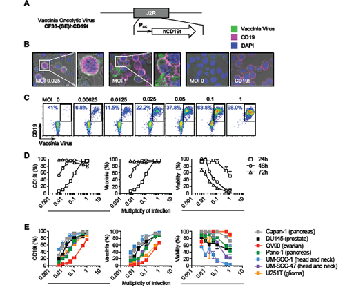 yl23455永利(集团)股份有限公司官网