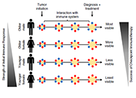 事实为什么ICB疗法在年轻女性肿瘤患者体内收效甚微？？