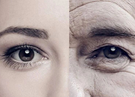 一种能够延伸寿命的降压药，，，，，，你听说过吗？？？？