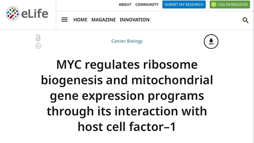可以“融化”肿瘤的卵白质，，，你一定没有听说过！