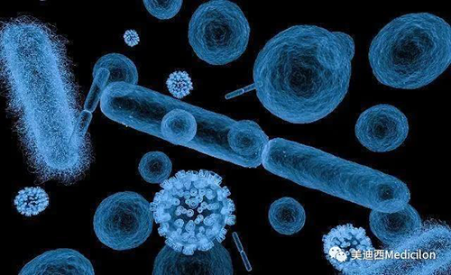 20分钟，，，，，，大大都细菌都可以繁衍一代 yl23455永利生物医药