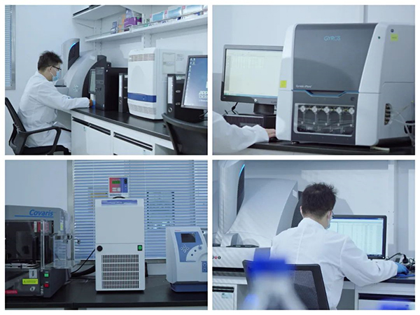 yl23455永利生物手艺药物剖析部