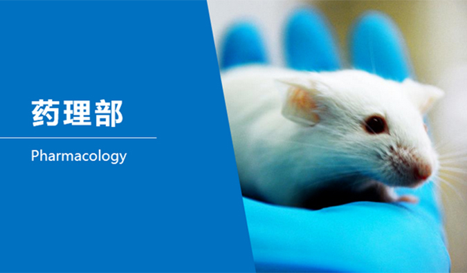 yl23455永利临床前研究-药理部