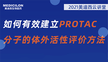 【云课堂】：怎样有用建设PROTAC分子的体外活性评价要领？？？？
