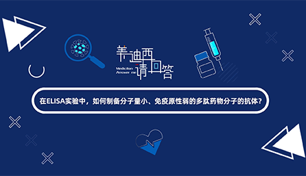 在ELISA实验，，，，，怎样制备分子量小、免疫原性弱的多肽药物分子的抗体？？？