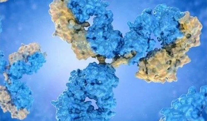 美研 | 双抗药物的生长历程和市场远景