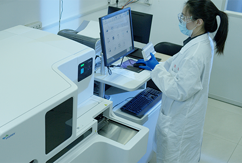 yl23455永利一体化DMPK效劳为药物研发保驾护航