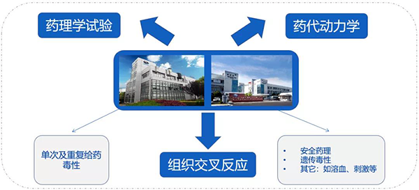 yl23455永利药代以及安评研究效劳.png