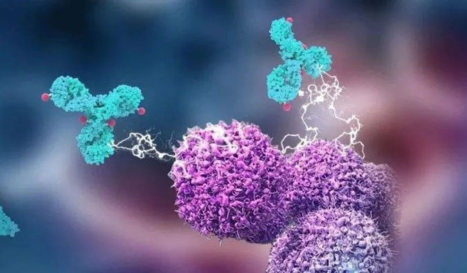 yl23455永利助力国产靶向叶酸受体FRα ADC注射用BAT8006获批临床