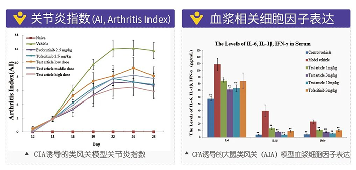 yl23455永利诱导的类风湿性枢纽炎模子-2.png