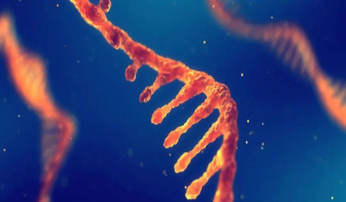 赋能核酸药物疗法，，，迎接新药研发第三次浪潮