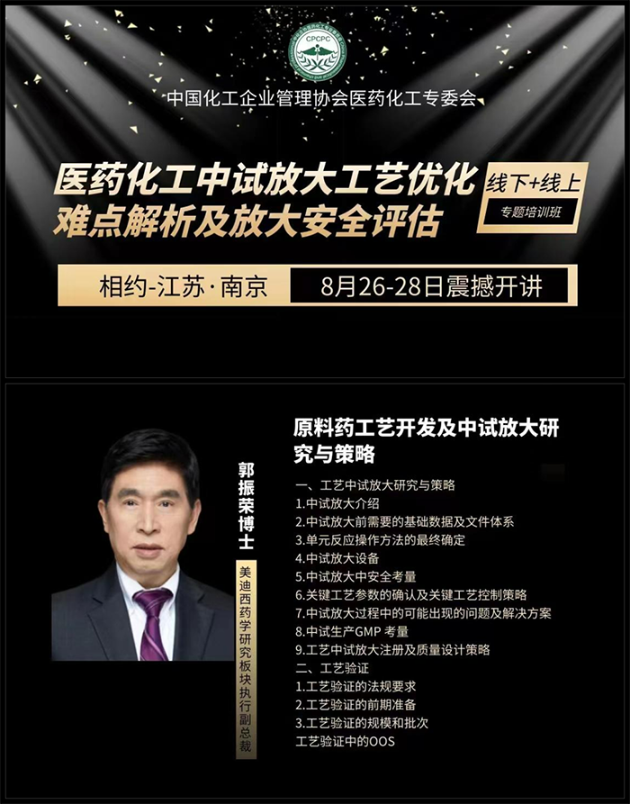 质料药工艺开发及中试放大研究与战略.png