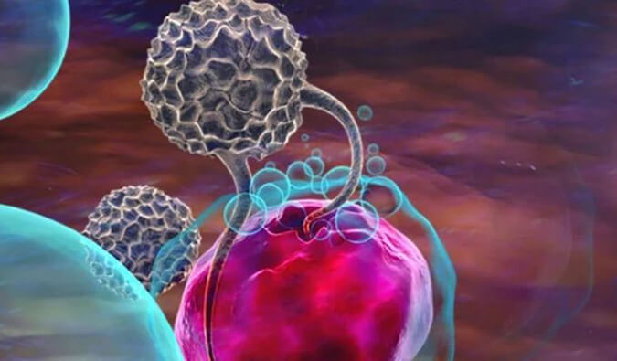 yl23455永利助力英百瑞CAR-raNK细胞疗法获批临床